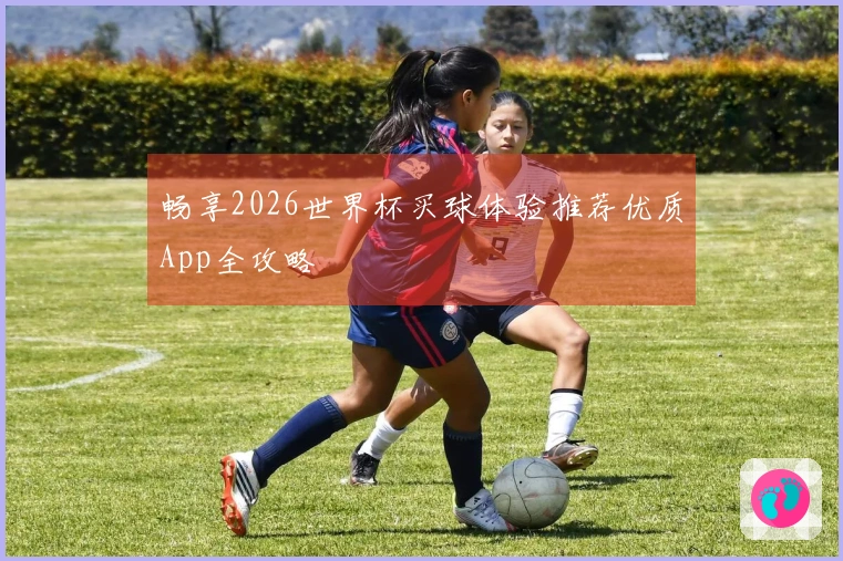 畅享2026世界杯买球体验推荐优质App全攻略
