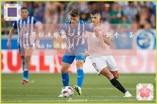 世界杯滚球盘口怎么看？新手必备的基础知识解析