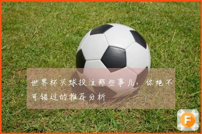 世界杯买球投注那些事儿，你绝不可错过的推荐分析