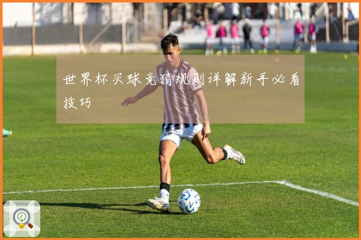 世界杯买球竞猜规则详解新手必看技巧