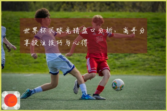 世界杯买球竞猜盘口分析，高手分享投注技巧与心得