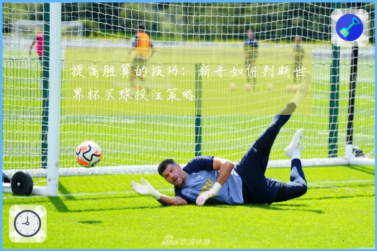 提高胜算的技巧：新手如何判断世界杯买球投注策略
