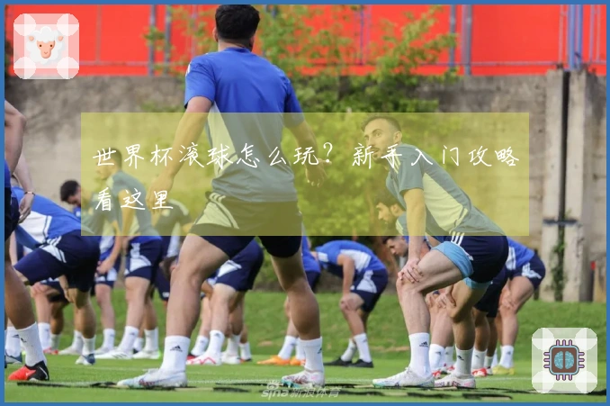 世界杯滚球怎么玩？新手入门攻略看这里
